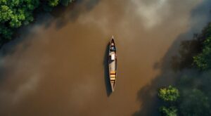 Saint-Laurent-du-Maroni : une zone commerciale pour dynamiser les échanges avec le Suriname