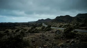 Saint-Louis : santé mentale des jeunes, un enjeu criant pour le sud de La Réunion