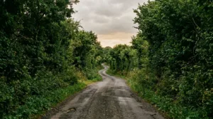 Saint-Loup-du-Dorat : un transport gratuit pour les seniors vers les commerces