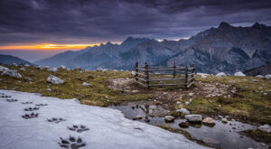 Saint-Paul : le sous-préfet préside l&rsquo;hommage aux victimes de la déportation