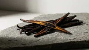 Saint-Pierre mise sur la vanille pour créer des emplois à l&rsquo;export