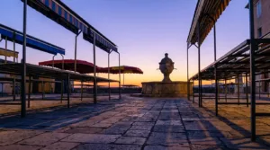 Saint-Tropez : une navette quasi gratuite pour relier les seniors aux marchés