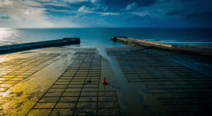 Saint-Vaast-la-Hougue : un dauphin meurt asphyxié après son échouage dans le port