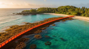 Sargasses en Guadeloupe : 3 184 tonnes collectées depuis janvier, les barrages se multiplient