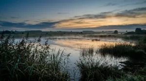 Sarthe : les élus débattent des subventions pour zones humides et sols agricoles