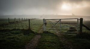 Sarthe : Pierrette, 90 ans, disparue lundi, retrouvée morte dans un champ à Bouloire