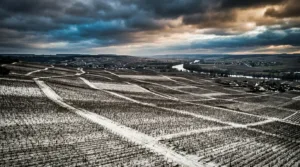 Sézanne : un forum pour rapprocher agriculteurs et chercheurs d’emploi