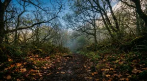 Tiques dans l&rsquo;Ain : alerte aux randonneurs du Bugey ce printemps