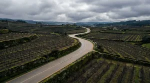 Tour du Jura 2026 : 185 km à travers les vignobles pour la 23e édition