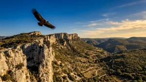 Tourisme durable en Drôme Provençale : une manne pour les PME locales