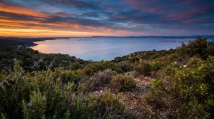 Trail du Veydrac : 250 coureurs attendus à Villeveyrac pour la 11e édition