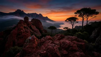 Trail Hermès Estérel : 1 290 coureurs ont pris d'assaut les reliefs rouges de Fréjus