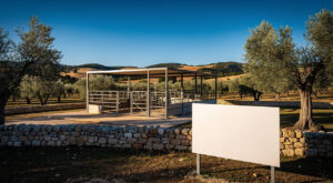 Tuberculose bovine : l’indemnité d’abattage revalorisée à 3 350 € par tête en Vaucluse