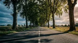 Un bus électrique sur la ligne Mamers-Alençon pour désenclaver le nord Sarthe