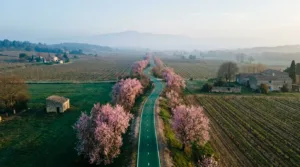 Vaucluse : la Grande Fête des Véloroutes revient pour une troisième édition