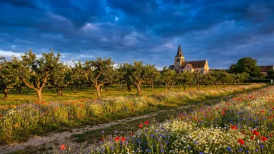 Versonnex : dix ans de jardins partagés pour cultiver l'autonomie alimentaire