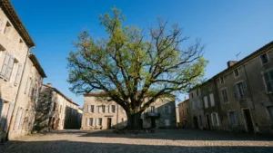 Vitré : un chat coincé dans un arbre remis en sécurité par les services municipaux