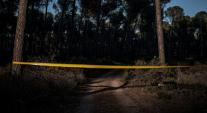 Allauch : corps calciné en forêt, la DCOS sur une piste de féminicide