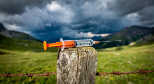 Ariège : le Collectif LIBRe confronte le préfet sur la vaccination bovine forcée