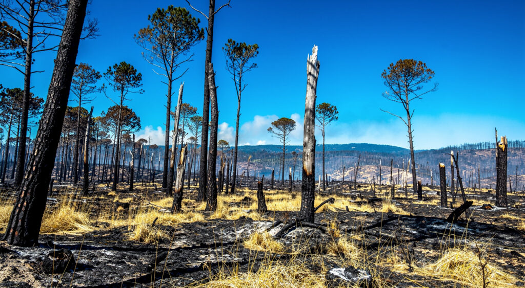Aude : le préfet Bucquet réunit les gestionnaires de campings sur la sécurité incendie