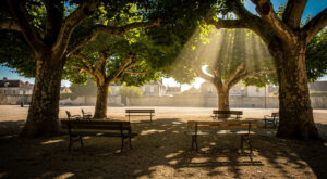 Canicule en Seine-et-Marne : vigilance jaune ce jeudi, les consignes du préfet