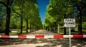 Chenilles processionnaires : le préfet des Yvelines mobilise les communes du sud