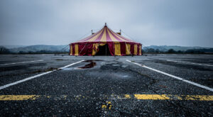 Cirque Pinder à Cournon-d&rsquo;Auvergne : 14 interpellations pour travail illégal, les spectacles annulés