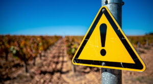 Drôme : vigilance jaune canicule dès jeudi 28 mai à 12h