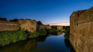 Fête de la Nature 2026 dans le Nord : chauves-souris à Gravelines, bécasse à Condé-sur-l&rsquo;Escaut