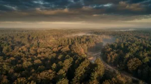 Feux de forêt : la convention nationale Cher-Valabre ouvre son expertise à la Nièvre