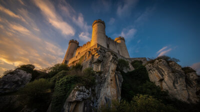 Foix : un jeune hibou grand-duc chute du château, retrouvé vivant au nid le lendemain