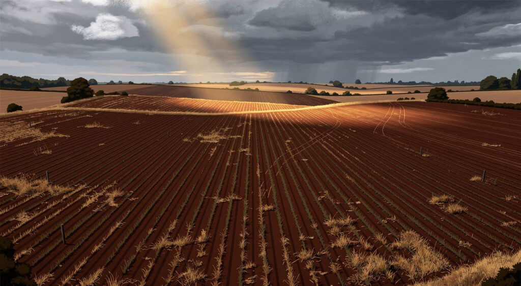 Gironde : la préfecture lance un appel pour restructurer les vignes arrachées