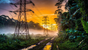 Guyane : la centrale biomasse de Cacao redémarre après plus d'un an d'arrêt
