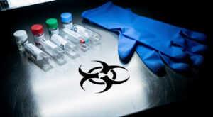 Hantavirus : le CHU de Lyon en première ligne pour les cas du MV Hondius