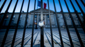 Haute-Loire : quatrième attaque de brebis en mai, le loup mis en cause à Lantriac
