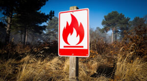 Incendies en Seine-Maritime : 90 % des feux sont d&rsquo;origine humaine, rappelle le SDIS 76