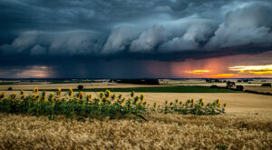 Indre : vigilance jaune orages ce samedi 30 mai de 18h à 22h
