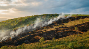 Jura : un barbecue mal éteint enflamme 3 hectares à Septmoncel-Les Molunes