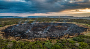 Longeyroux : 5 ha de tourbières brûlés après un coup de foudre, 50 pompiers mobilisés