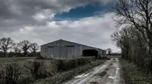 Maine-et-Loire : L214 porte plainte pour sévices sur des dindes élevées pour Carrefour