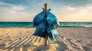 Nettoyons le Sud 2026 : des milliers de bénévoles sur les plages et parcs de Marseille