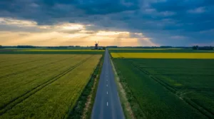 Nord : Trail de la Fraise et 4 Jours de Dunkerque, un dimanche sportif réussi