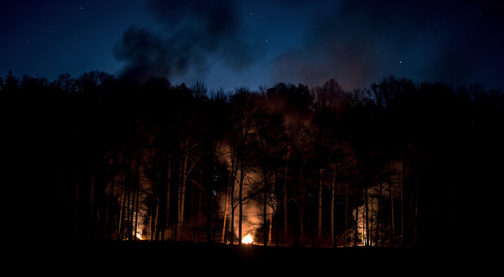 Piscop : incendie criminel présumé en forêt de Montmorency, trois feux simultanés