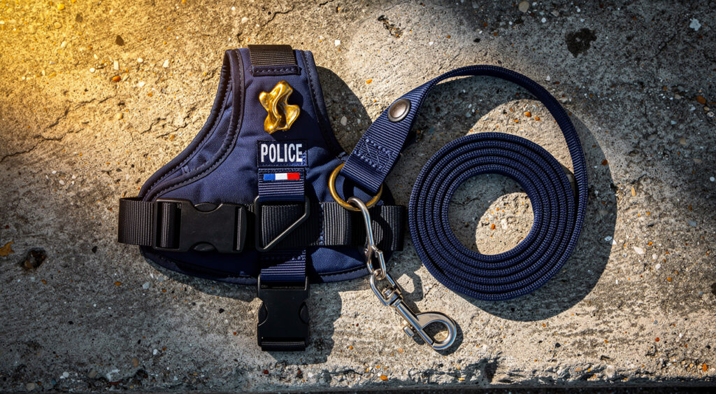 Police nationale Guadeloupe : le binôme cynophile Loïc et Vaiana (SAMBI) opérationnel dès le 26 mai