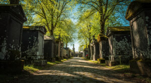 Printemps des cimetières à Clermont-Ferrand : patrimoine, mémoire et biodiversité