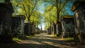 Printemps des cimetières à Clermont-Ferrand : patrimoine, mémoire et biodiversité