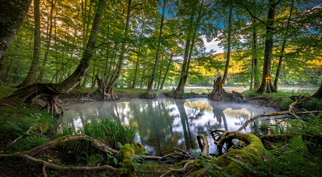 Saint-Ismier : 280 animations gratuites lancées au bois de la Bâtie pour les Rendez-vous Nature 2026