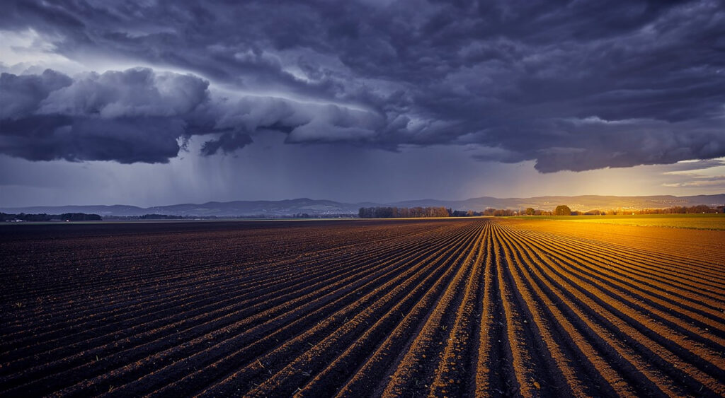 Vigilance jaune orages dans le Bas-Rhin : rafales jusqu'à 70 km/h dès 16h ce mercredi