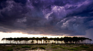 Vigilance jaune orages dans les Landes : fortes pluies et vents attendus ce 30 avril