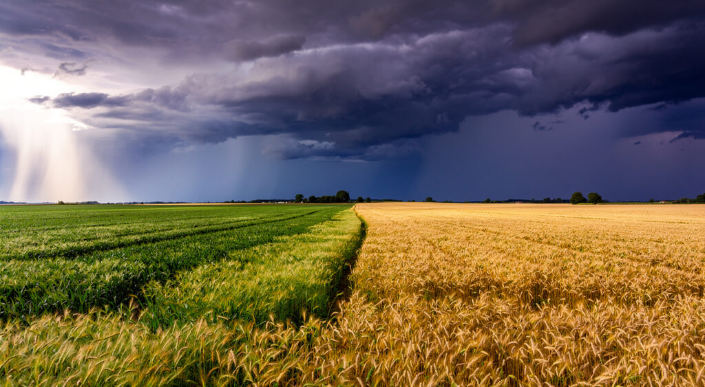 Vigilance jaune orages dans l&rsquo;Indre dès 13h ce dimanche